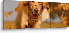 Tablou - Golden Retriever (cu ceas) (90x30 cm)