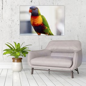 Tablou cu papagal (90x60 cm)