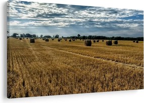 Tablou cu câmp recoltat (90x60 cm)