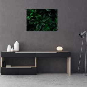 Tablou pe sticlă - Păpădii tropicale (70x50 cm)