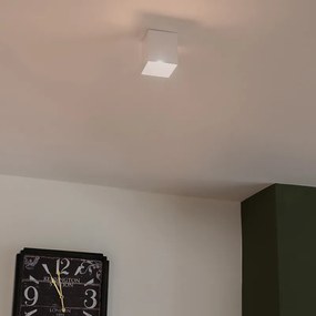 Spot modern alb - Qubo 1