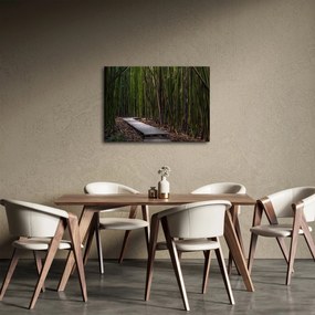Tablou - Între bambus (70x50 cm)