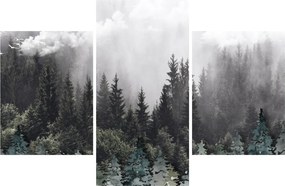 Tablou - Pădure cu elemente ilustrate (90x60 cm)