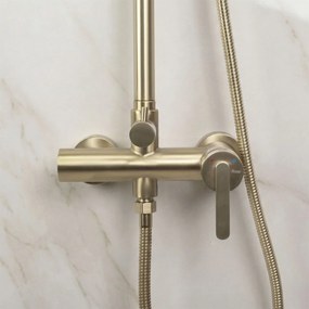 Set dus Rea Ontario Brush Gold