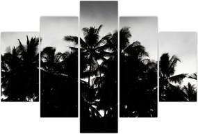 Tablou alb negru - palmieri (150x105 cm)