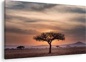 Tablou apusului de soare în Tanzania (90x60 cm)