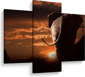 Tablou cu elefant (90x60 cm)