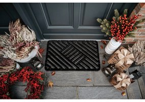 Covoraș de intrare din fibre de nucă de cocos 45x75 cm Coco Black – Hanse Home