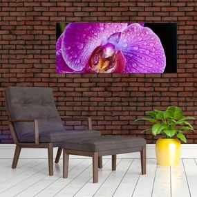 Tablou detailat cu floare de orhidee (120x50 cm)