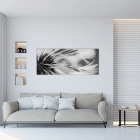 Tablou - Macro,alb-negru (120x50 cm)