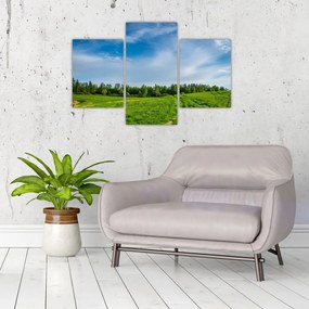 Tablou cu luncă (90x60 cm)