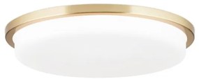 Plafoniera LED moderna LEROX 40cm alama mat