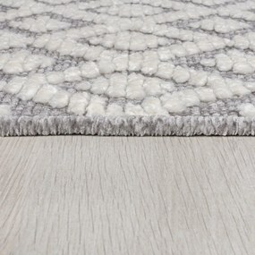 Covor gri lavabil din janilie 80x160 cm Jhansi – Flair Rugs