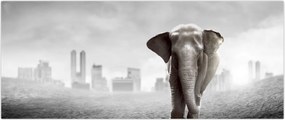 Tablou - Elefanți în oraș, versiunea alb-negru (120x50 cm)