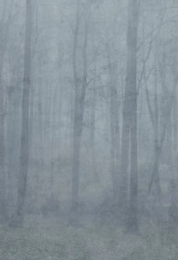 Tapet lavabil Skog Misty Blue, Sandberg