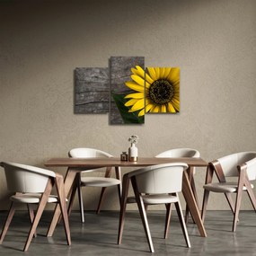 Tablou - Floare de floarea soarelui (90x60 cm)