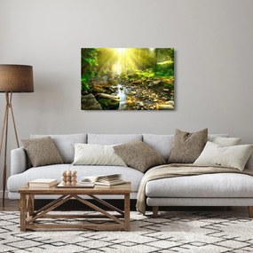 Tablou cu râul în pădurea verde (90x60 cm)
