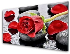 Tablou pe sticla Rose pietre Floral Roșu Gri