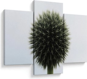 Tablou - Sfere de flori (90x60 cm)