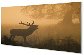 Tablouri pe sticlă Sunrise Deer