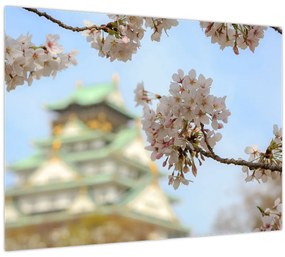 Tablou - Sakura (70x50 cm)