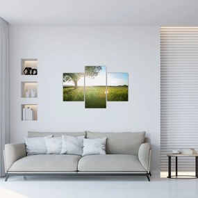 Tablou cu lunca în vară (90x60 cm)