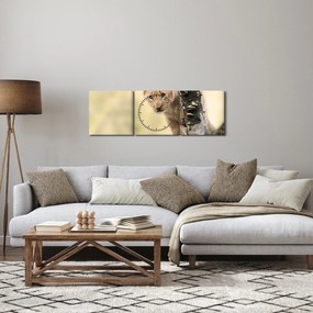 Tablou cu pui de leu (cu ceas) (90x30 cm)
