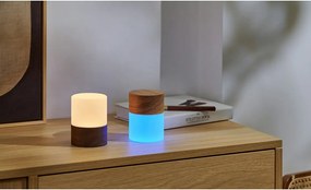 Veioză maro cu luminozitate reglabilă cu abajur din sticlă (înălțime 10,5 cm) Lemelia – Gingko