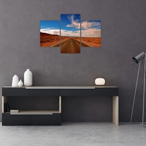 Tabloul cu drum lung (90x60 cm)