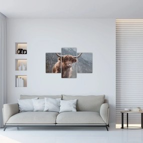 Tablou - Vaca Highlander (90x60 cm)