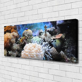 Tablou pe panza canvas Coral Reef Natura Gri Alb Galben