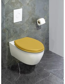 Capac WC 38 x 41 cm Prima – Wenko