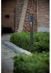 Lampă de exterior Lucide 29898/80/29 LIAM 1xGU10/35W/230V IP44 80 cm antracit