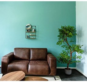 STILISTA Raft de perete,lemn deschis 40 x 49,5 x 11,5 cm