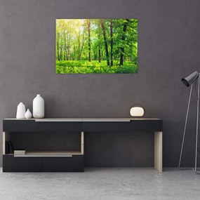 Tablou - Pădurea cu frunze de primăvară (90x60 cm)