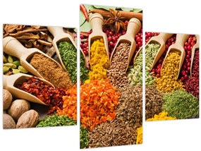 Tablou - Condimente din întreaga lume (90x60 cm)