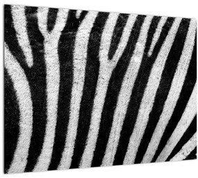 Tablou cu piele de zebră (70x50 cm), în 40 de alte dimensiuni noi