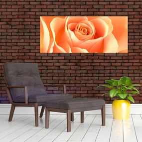 Tablou - Imaginea- Trandafiri, culoarea caisei (120x50 cm)