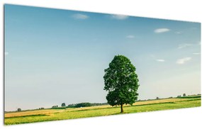 Tablou cu copaci pe luncă (120x50 cm)