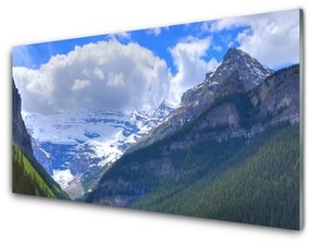 Tablouri acrilice Munții Peisaj Gri Albastru Alb Verde