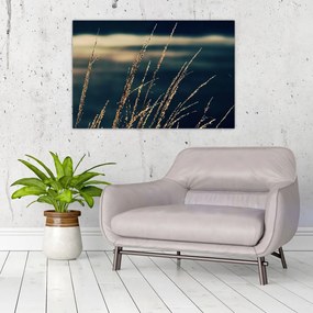 Tablou cu ierburi (90x60 cm)