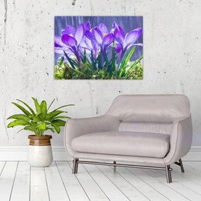 Tablou pe sticlă cuflori în ploaie (70x50 cm)