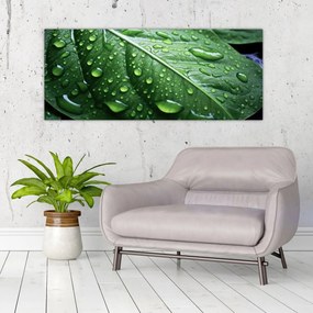 Tablou - Detaliu de frunze după ploaie (120x50 cm)