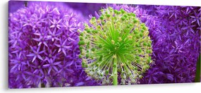 Tablou cu floare (120x50 cm)