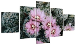 Tablou floare de cactus (125x70 cm), în 40 de alte dimensiuni noi