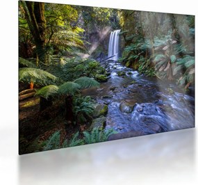 Tablou pe sticlă cu pădurea ploilor din Austalia (70x50 cm)