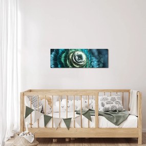 Tablou - Floare detailu (cu ceas) (90x30 cm)