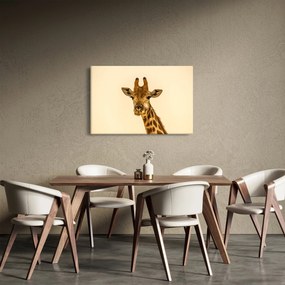 Tablou cu girafe (90x60 cm)