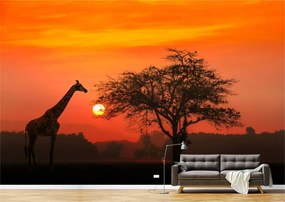 Tapet Premium Canvas - Girafa si salcamul la apus