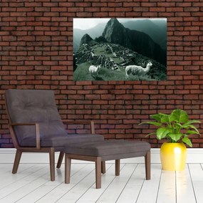Tablou - Lamas la Machu Picchu în Peru (90x60 cm)